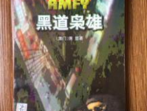 黑道枭雄全文阅读,雷震的卧底传奇