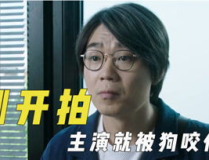 娱乐吃瓜y君,揭秘娱乐圈幕后故事