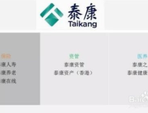泰康人寿mss系统,引领保险业数字化转型的核心平台