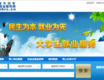 就业服务网登录入口官网,官网登录入口助您轻松求职