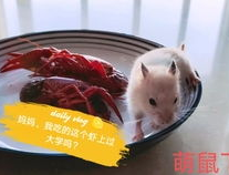 吃瓜娱乐背景板,揭秘娱乐圈幕后那些事儿