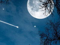 月亮吃瓜娱乐说,揭秘娱乐圈幕后故事