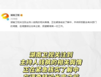 娱乐吃瓜项目,吃瓜群众带你领略幕后风云