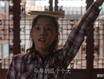 吃瓜娱乐圈的大番薯,番薯的瓜田奇遇记