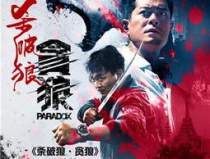 娱乐吃瓜君杀破狼,杀破狼背后的故事与真相